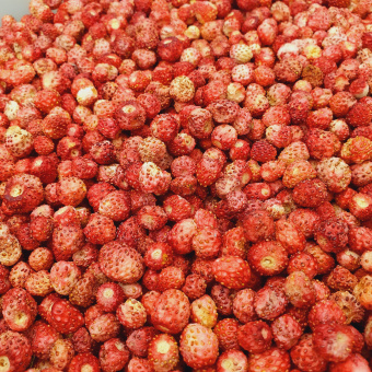 Лесная земляника для игристого настроения сублимированная 13гр ПЭТ банка УСВ