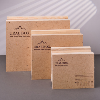 Ящик почтовый "Урал" большой 33*25*11,5см